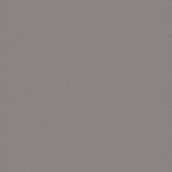 Dark Gray 904